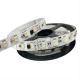 SM16704 RGBW Addressable digital led strip 60leds/m DC24V